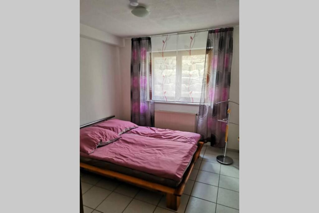 Ferienwohnung In Singen Am Hohentwiel - Seenah Exterior photo